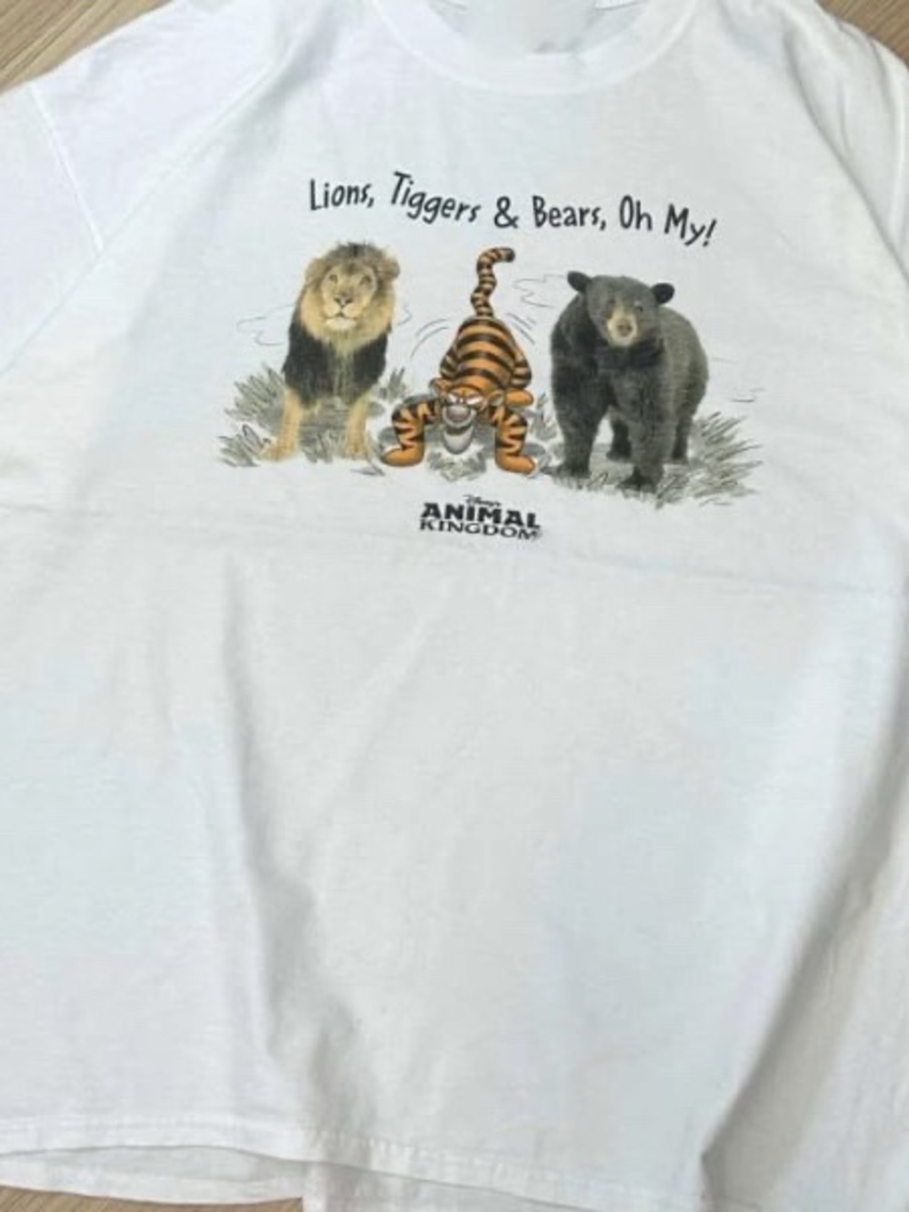 White Disney animal kingdom t shirt